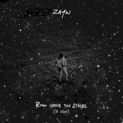 ROOM UNDER THE STAIRS (Z SIDES)