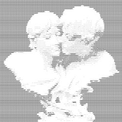 ꒰ᐢ. .ᐢ꒱₊˚⊹