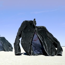 Raising Your Voice… Trying to Stop an Echo