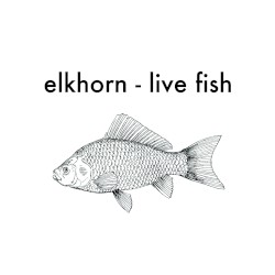 Live Fish
