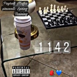 Payroll Mafia: Spring Training