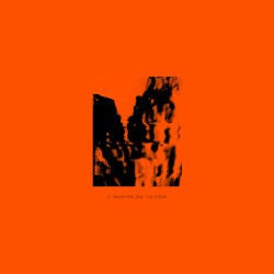 Let It Slide / I Don't Know What the Future Brings