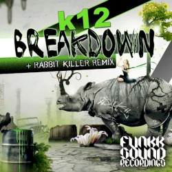 Breakdown