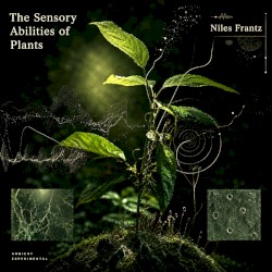 The Sensory Abilities of Plants: Music For Sitting Quietly 6