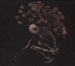 Folk Aesthetic 1996-2006