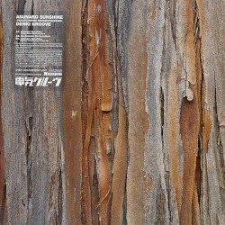 Asunaro Sunshine: Takkyu Ishino Reconstruction