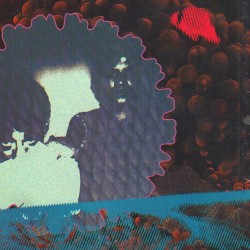 The Mollusk Studio Sessions