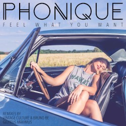 Feel What You Want (Vintage Culture & Bruno Be and Gluteus Maximus Remixes)