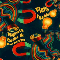 Magnets Bulbs & Batteries