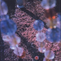 The Path of Spectrolite