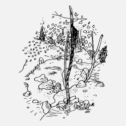 At Disconnected Moments