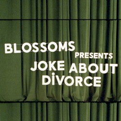 Joke About Divorce