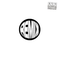 Flower of Devotion Remixed