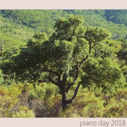 Piano Day 2018