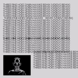 Three Fine Hoes Sinjin Hawke Remix ◙VDIDVS Remix◙