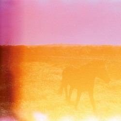 Jo estava que m’abrasava