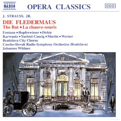 Die Fledermaus