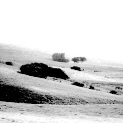 92nd