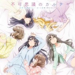 Seishunbutayarouhabunnygirlsenpainoyumewominai Fukashigi no KARTE