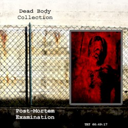 Post-Mortem Examination