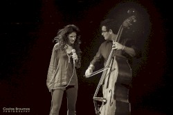 Induologue: Demo Version