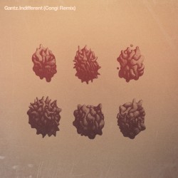 Indifferent (Congi remix)