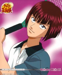 テニスの王子様 THE BEST OF RIVAL PLAYERS XI Gakuto Mukahi