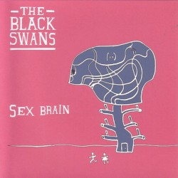 Sex Brain