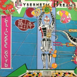 Cybernetic Dreams of Pi