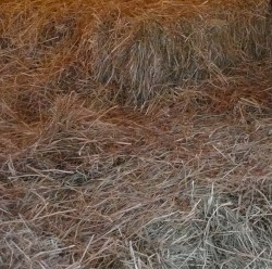 2014 Everything’s Going Along as Usual and Then All Shit Breaks Loose.