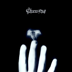 The Last Flower (live in Aschaffenburg)