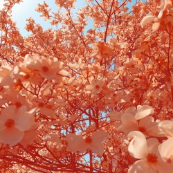 Messing With the Settings