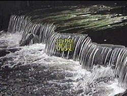 Moving Out, Moving On