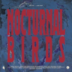 Nocturnal Birds