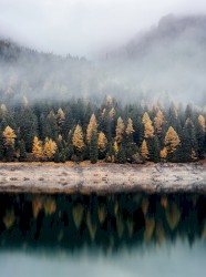 Live Archives, Volume 2