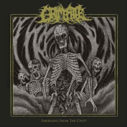 Emerging From the Crypt