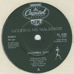 Goodwill City / I’m Sick of You