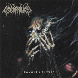 Inexorable Entropy