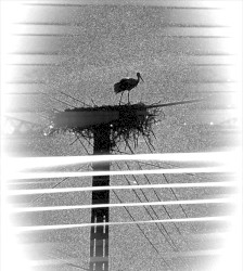 A Pressure Point in Time