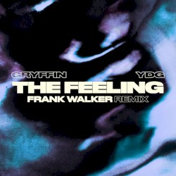 The Feeling (Frank Walker remix)