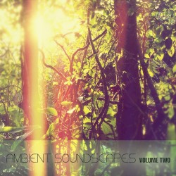 Ambient Soundscapes, Vol.2