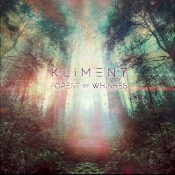 Forest of Wishes (Remixes)