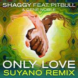 Only Love (Suyano remix)