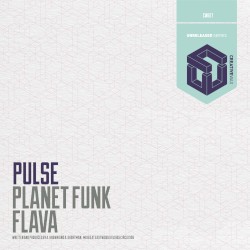 Planet Funk / Flava