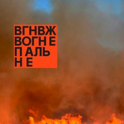 Вогнепальне