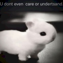 bruh this beat is amazing why am i posting it here (#Awesomeness)