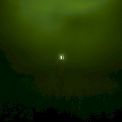 labyrinth of consciousness