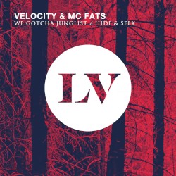 We Gotcha Junglist / Hide & Seek