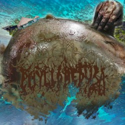 Spent My Day Rotting Away