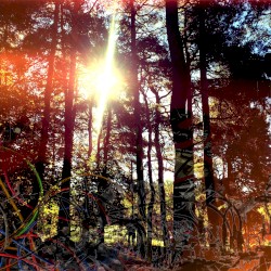 Cross Modulation - Bootleg Remixes